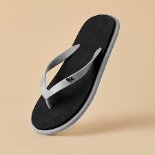    Slipper